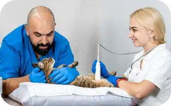 Acesso e Conexão