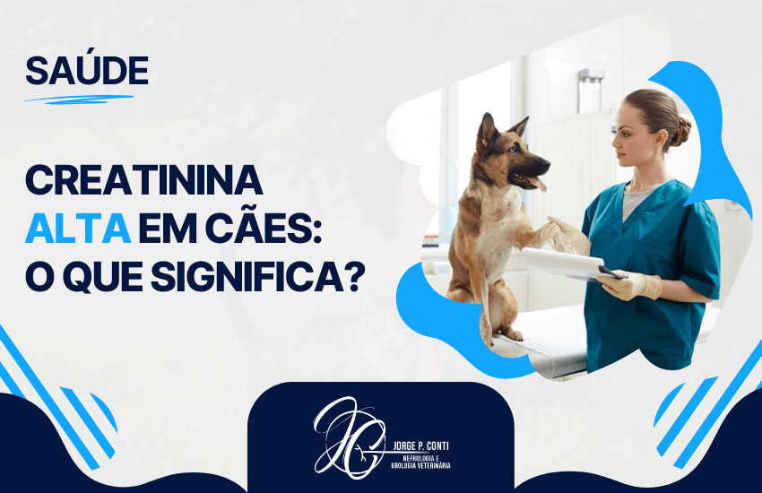 Veterinária segura a pata de cão durante consulta, ilustrando conteúdo informativo sobre o que significa creatinina alta em cães.