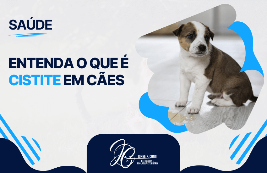 Imagem ilustrativa com filhote de cachorro ao lado de urina no chão, destacando a importância de entender o que é cistite em cães e seus sintomas.