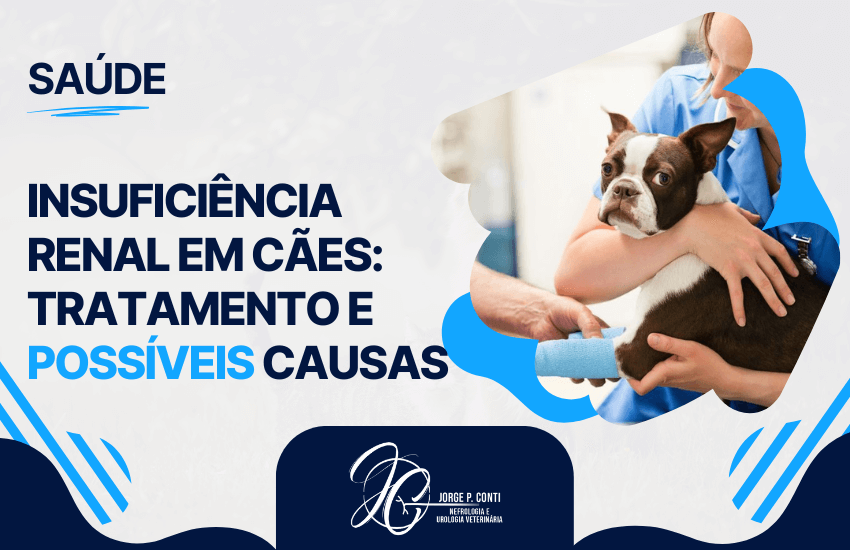 Insuficiência renal em cães com foco em tratamento e possíveis causas, mostrando atendimento veterinário e cuidados clínicos com o animal.