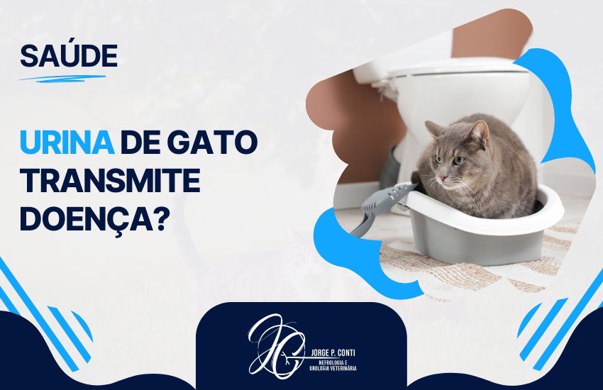 Capa de blog com o título "Saúde: Urina de gato transmite doença?" em letras azuis e pretas. À direita, uma foto recortada mostra um gato cinza sentado em sua caixa de areia dentro de um banheiro. Na parte inferior, destaca-se o logotipo do veterinário Jorge P. Conti, especialista em nefrologia e urologia veterinária.