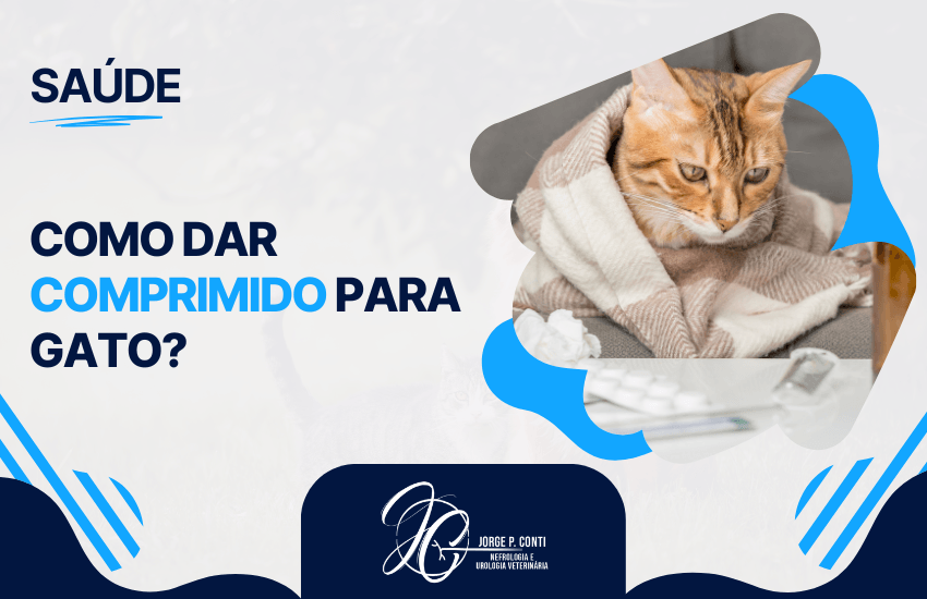 Gato envolto em manta ao lado de medicamentos, ilustrando os cuidados necessários ao administrar comprimidos felinos.