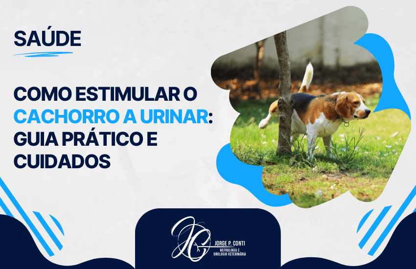 Capa ilustrada do guia sobre como estimular o cachorro a urinar, com foto de um cão urinando e destaque para os principais cuidados.